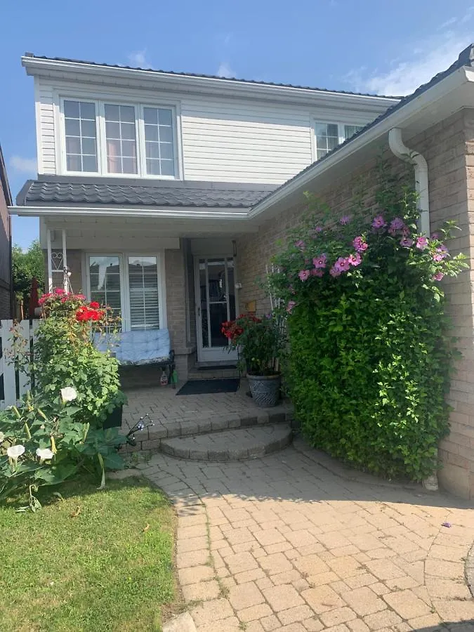 多伦多 Big Oasis Studio Near Airport Yyz酒店 加拿大